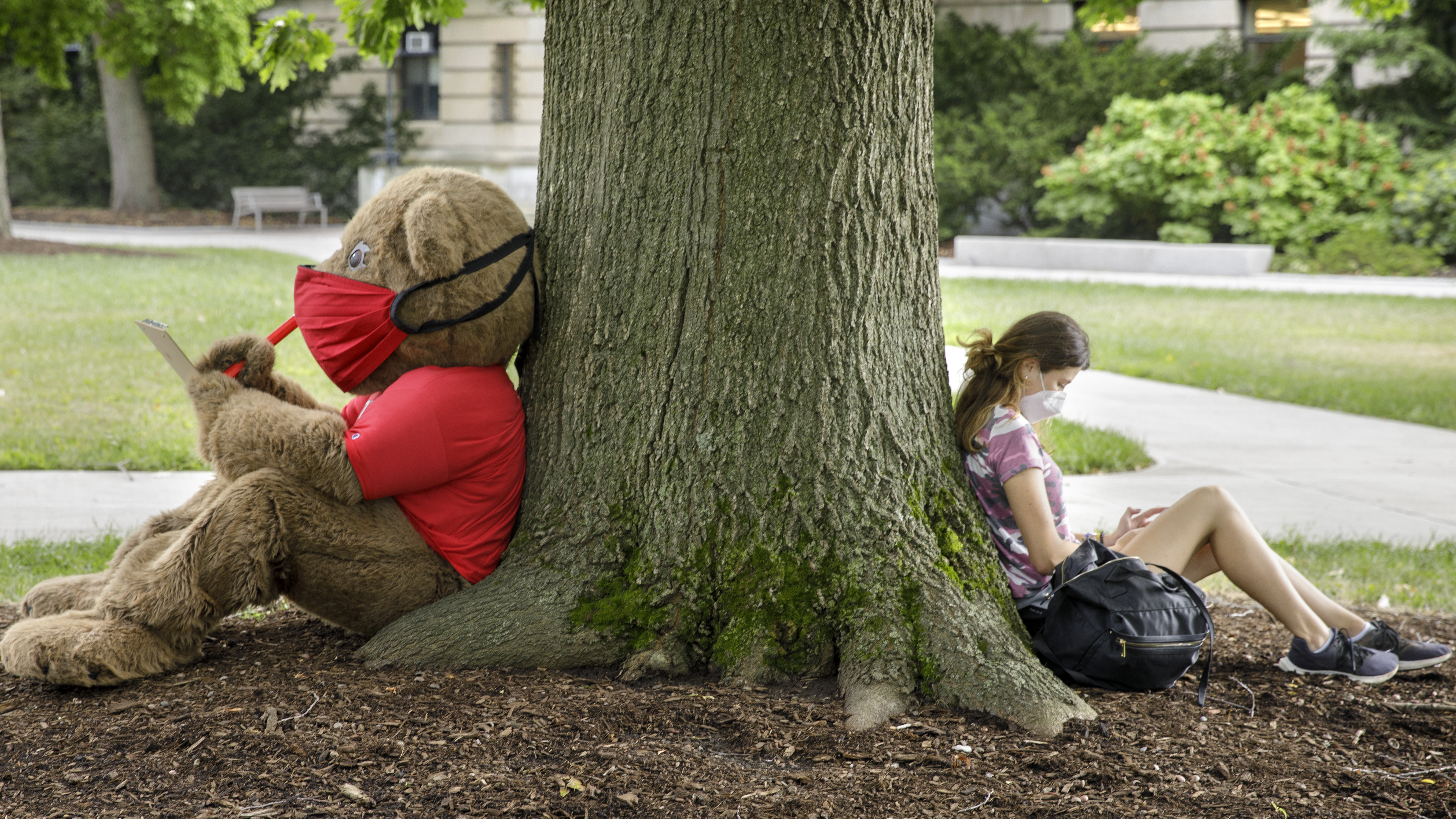 Touchdown the Cornell mascot sits under a tree socially distanced from a female student, wearing a mask